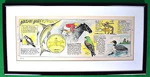 Nature Notes 1982 Cartoon Watercolor by Parrish Chicago Tribune