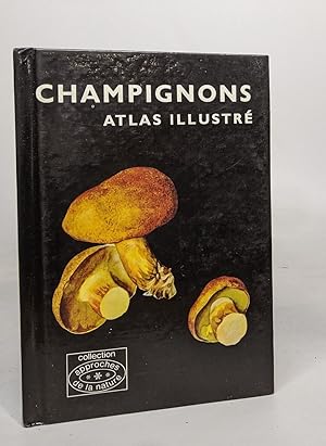 Champignons atlas illustré