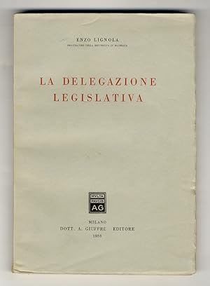 La delegazione legislativa.