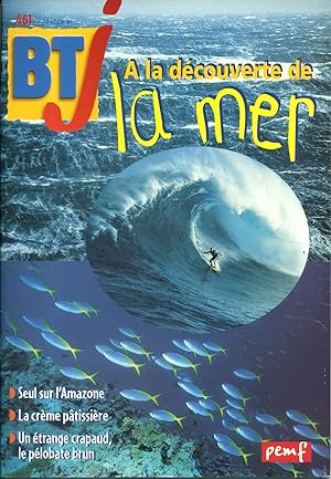 Bibliothèque de travail junior N° 461 : À la découverte de la mer.