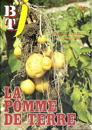 Bibliothèque de travail junior N° 319 : La pomme de terre.