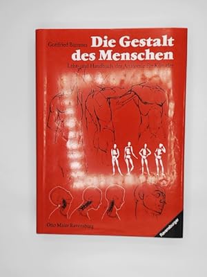 Die Gestalt des Menschen : Lehr- u. Handbuch d. Anatomie für Künstler.