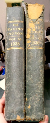 The Racing Pigeon. January 1st- Dec 31st 1938. Full Year Bound in 2 Volumes.