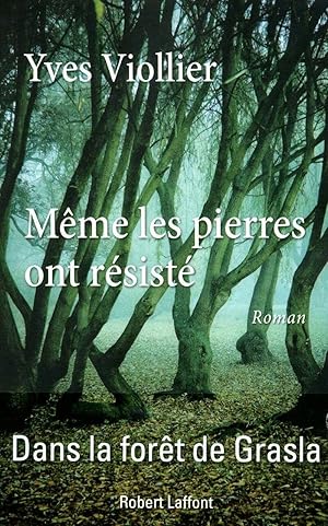 Même les pierres ont résisté