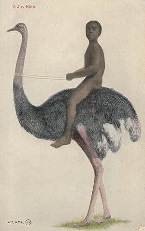 A Joy Ride African Boy On Giant Bird Ostrich Comic Ethnic Old Postcard