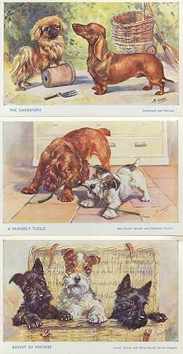 Red Cocker Spaniel Sealyham Terrier Daschund Pekinese 3x Salmon Old Dog Postcard s