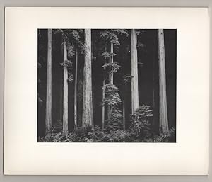 Ansel Adams