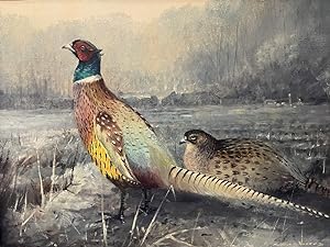 COCK AND HEN PHEASANT IN A SNOWNY LANDSCAPE