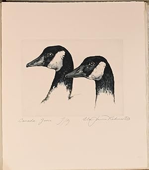 [SPECIAL PRESS] GAMEBIRDS AND WATERFOWL. TEN ETCHINGS HAND-COLORED BY ALAN JAMES ROBINSON [SPECIA...