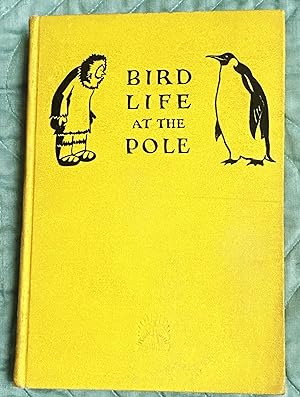 Bird Life at the Pole