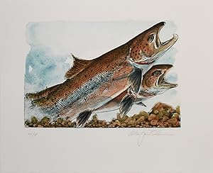 [SPECIAL PRESS] ATLANTIC SALMON