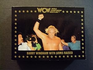 Incomplete Set WCW 1991 Championship Marketing Cards