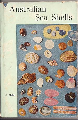 Australian Sea Shells
