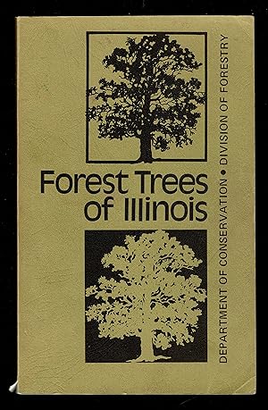 Forest Trees Of Illinois