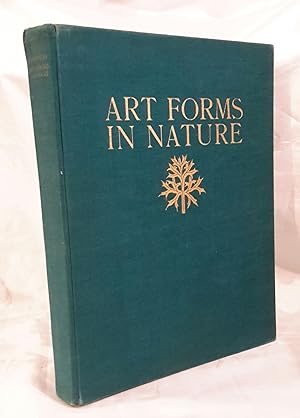 Art Forms in Nature. Examples from the Plant World Photographed Direct From Nature. With an Intro...
