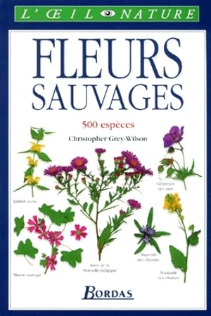 Fleurs sauvages - Grey-wilson