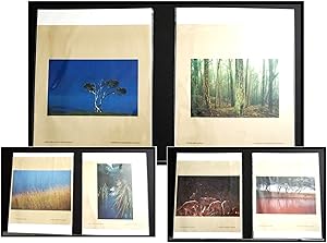 Six Color Photographs by Hawaiian Photographer Richard A. Cooke III of Island Nature from the Isl...