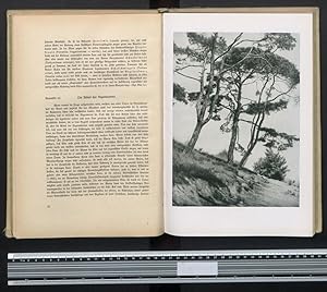Raumbildalbum mit 150 Raumbildern, Aus der Lebensgemeinschaft des Waldes, Herausgeber Dr. Kurt Di...
