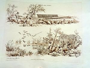 Bird Catchers or Wildfowling. Aquatint Sepia Print 1801.