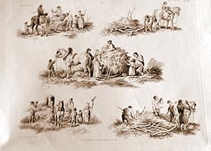 Hay-Making. Farming 1822 Tinted Aquatint