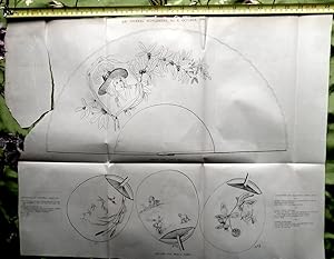 1880 Antique Sheet Fan Sketch Design