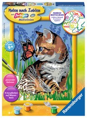 Malen nach Zahlen: Katze mit Schmetterling