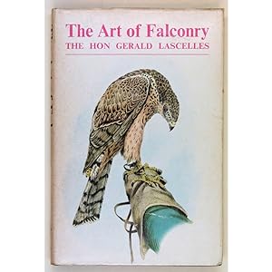 The art of falconry.
