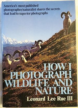 How I Photograph Wildlife and Nature