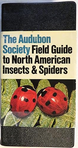The Audubon Society Field Guide to North American Insects and Spiders