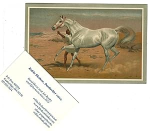 [Announcement Card for a Jerez Horse Show]