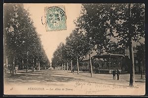 Carte postale Périgeux, Les Allées de Tourny