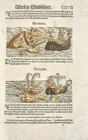 Vogelbuch, Thierbuch, Fischbuch ca. 1563 (reproduction)