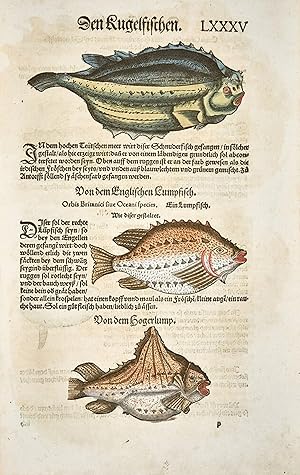 Vogelbuch, Thierbuch, Fischbuch ca. 1563 (reproduction)
