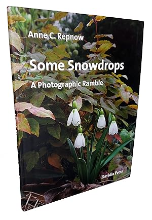 Some Snowdrops - A Photographic Ramble