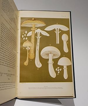 Student's Hand-Book of Mushrooms of America Edible and Poisonous