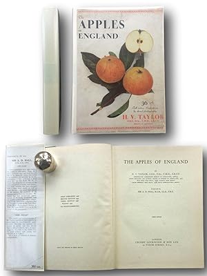 THE APPLES OF ENGLAND.