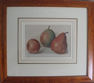 Pears - Antique chromollithograph in fine frame