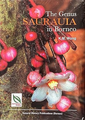 The genus Saurauia in Borneo