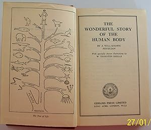 The Wonderful Story Of The Human Body