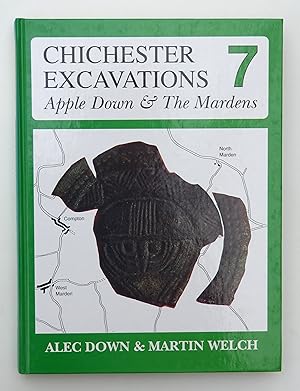 Chichester Excavations: Vol 7