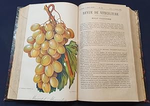 Revue de viticulture - organe de l'agriculture des régions viticoles Publié sous la direction de ...