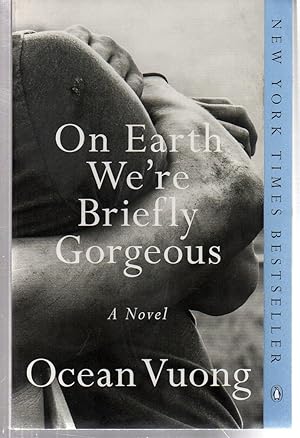 On Earth We're Briefly Gorgeous: A Novel