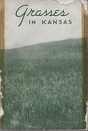 Grasses in Kansas