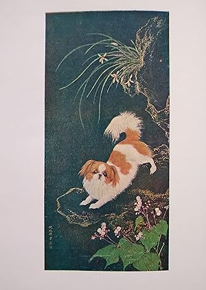 Dogs of China and Japan in Nature and Art