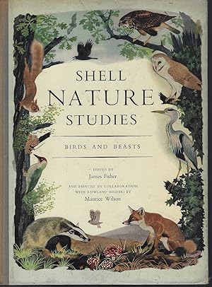 Shell Nature Studies - Birds and Beasts