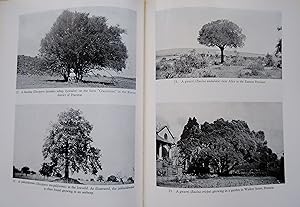 Trees of South Africa