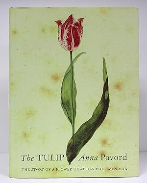 Tulip: The Story of the Flower That Has Made Men Mad