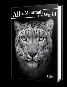 ALL THE MAMMALS OF THE WORLD