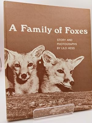 A Family of Foxes