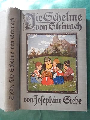 Die Schelme von Steinach - Ein Buch für Kinder